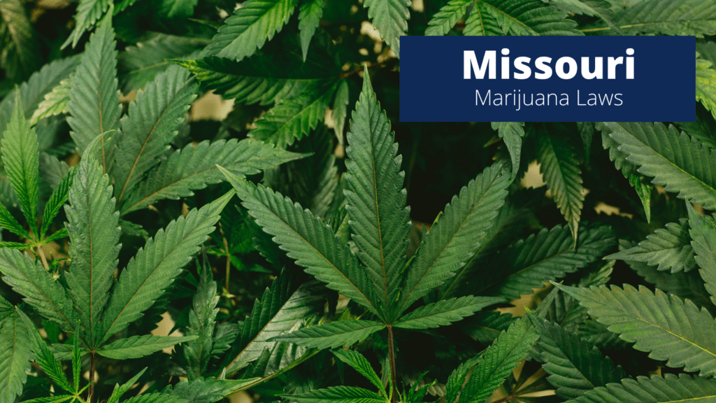 Follow These 3 Steps To Renew Your Missouri Medical Marijuana Card